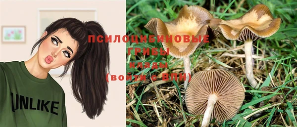прущая мука Козельск