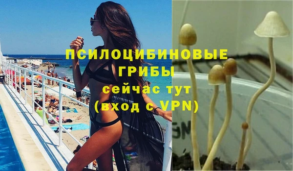 гашиш Коряжма