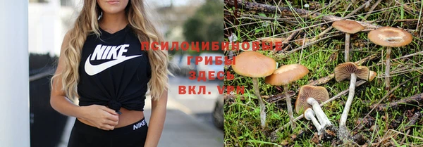 прущая мука Козельск