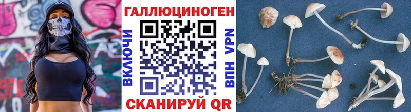 Псилоцибиновые грибы Cubensis  гидра как войти  Магадан 